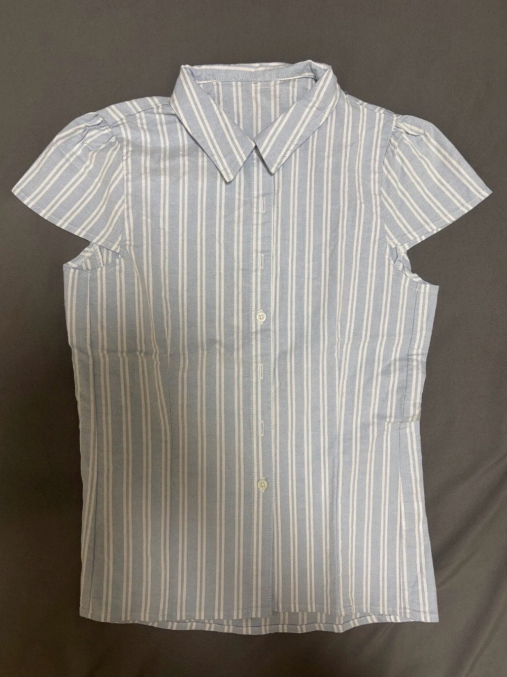 Sleeveless Blue & White Stripe Button-Front Blouse